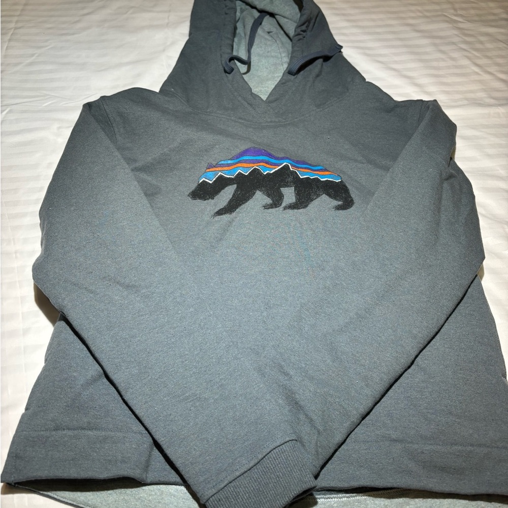 Patagonia Gray Bear Design Hoodie New